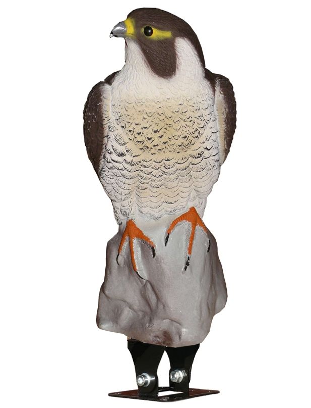 Levně Harmony Trojrozměrná maketa dravce sokol 45 cm - univerzální kotvení